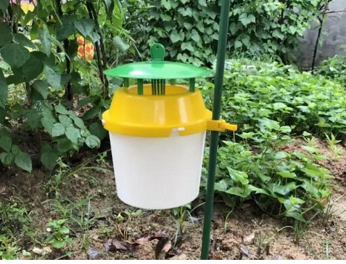 桶型誘捕器